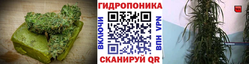 сколько стоит Тайга Печенье с ТГК конопля