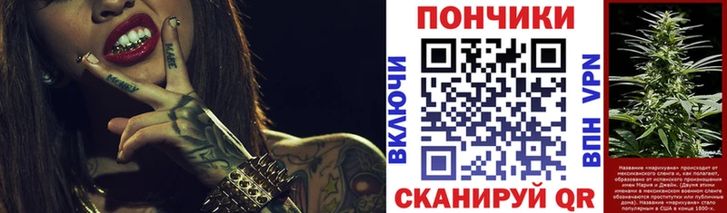 где продают   Тайга  Бошки Шишки SATIVA & INDICA 